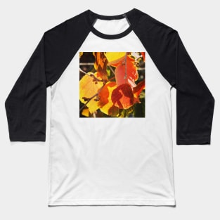 Autumn colour Baseball T-Shirt